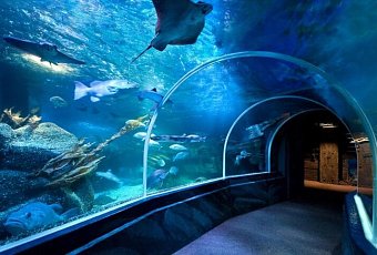 Французские каникулы с посещением Диснейленда