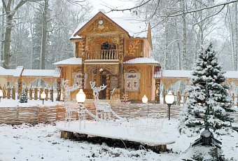 Белорусский Новый год: столица, замки и Беловежская пуща
