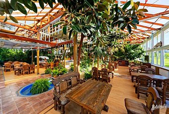 Белорусские тропики!