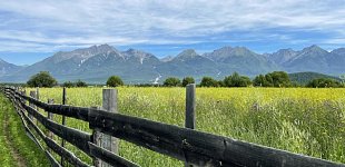 Фото 3
