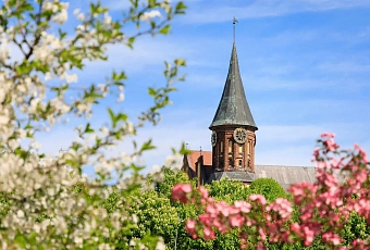 Авиатур в Калининград! 