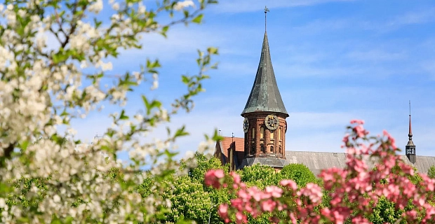 Главное фото