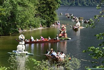 Солнечный нарцисс