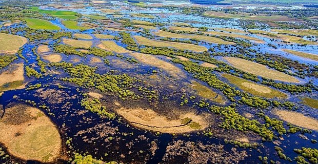 Главное фото