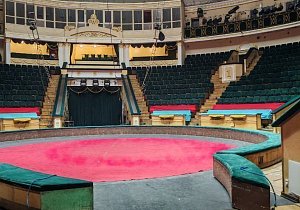 Экскурсия «Закулисье минского цирка»