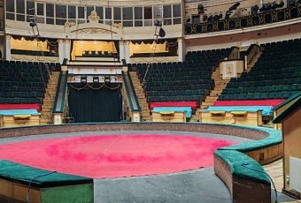 Экскурсия «Закулисье минского цирка»