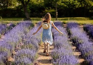 Цветение лаванды и Березинский заповедник 