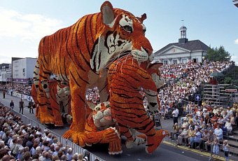 Цветочный парад георгин CORSO ZUNDERT!