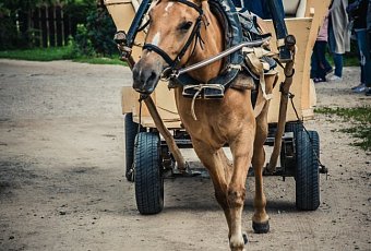 Ремесла и этнография в «Дудутках»