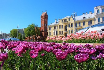 Минские каникулы Комфорт