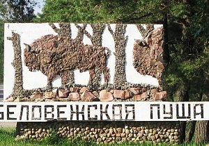 Минские каникулы и Беловежская сказка Комфорт (6 дней)