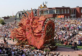 Цветочный парад георгин CORSO ZUNDERT!