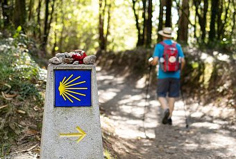 Аэропорт Сантьяго-де-Компостела закрывается на ремонт: как это повлияет на паломников