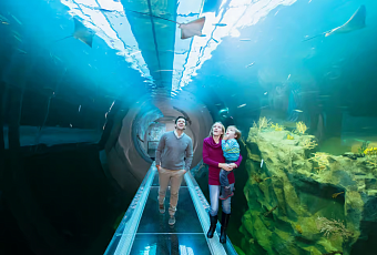 Итальянские каникулы. Авторский тур