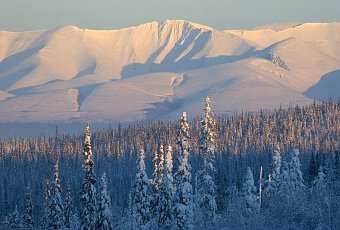 Север на ладони. Авиатур в Мурманск