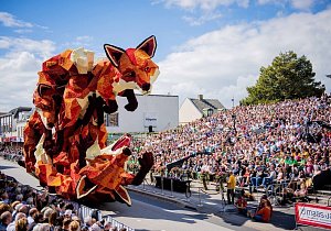 Цветочный парад георгин CORSO ZUNDERT!