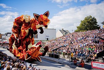 Цветочный парад георгин CORSO ZUNDERT!