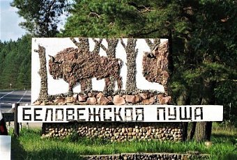 Кобрин — Брест — Пуща, 3 дня