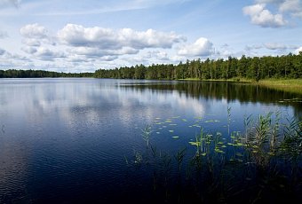 Болото Мох по Касиным тропам