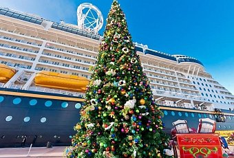 Новый год на пароме! Для туристов с визами!