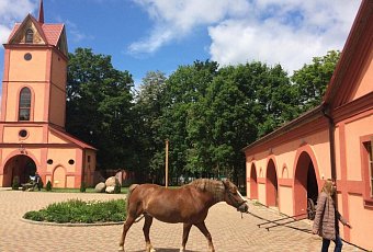 Дукорский маёнтак