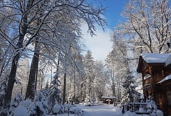 В гости к Деду Морозу! Поездка в Беловежскую пущу на поезде!