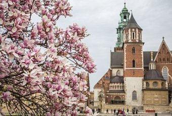 Магия весны в Будапеште