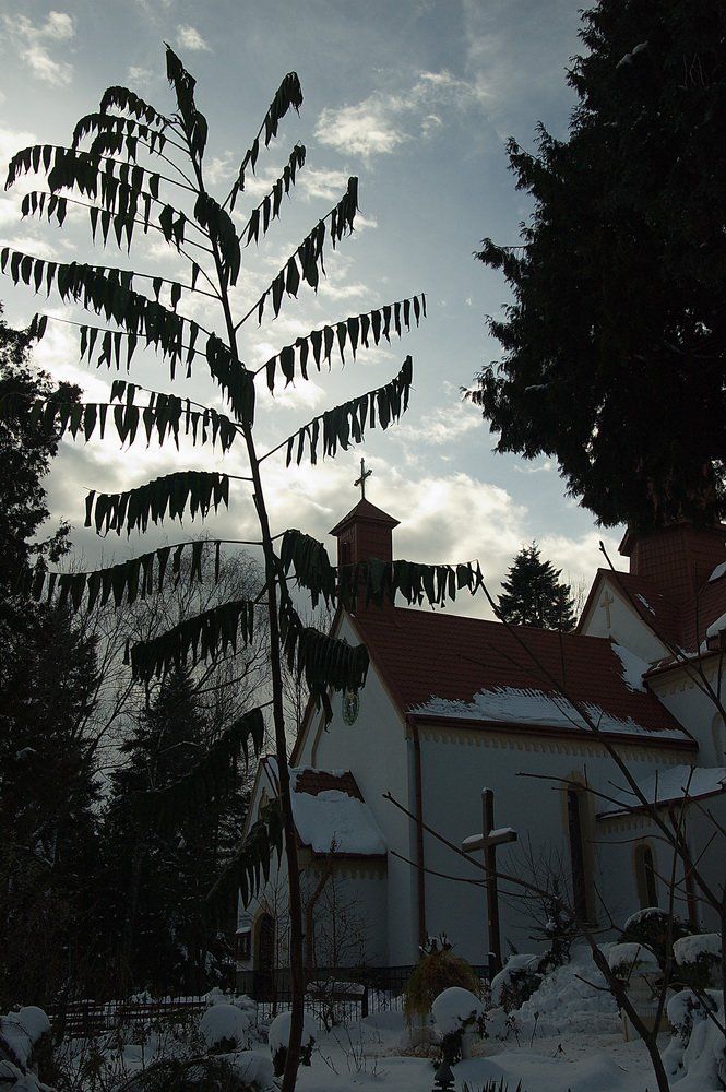 DSC_0706.jpg DSC_0706.jpg