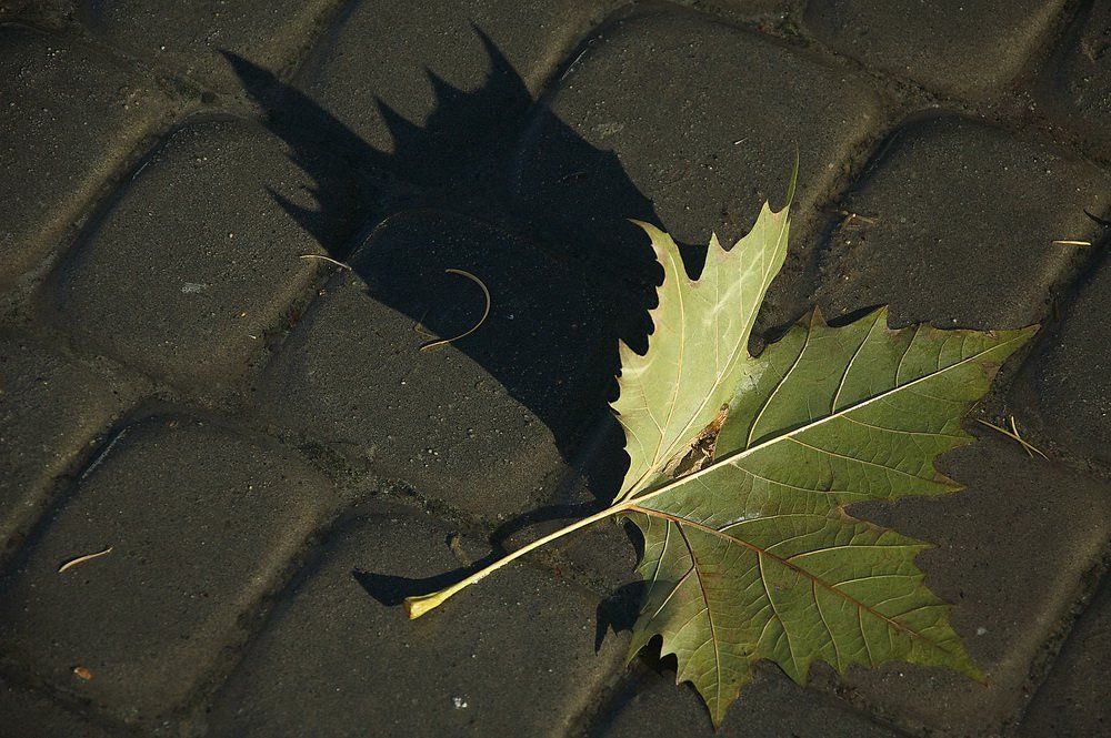 DSC_0836.jpg DSC_0836.jpg