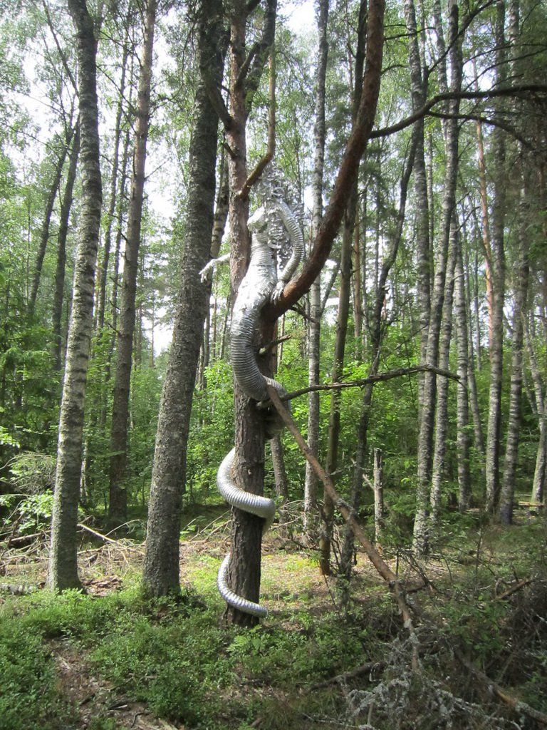 IMG_2935-21.jpg IMG_2935-21.jpg