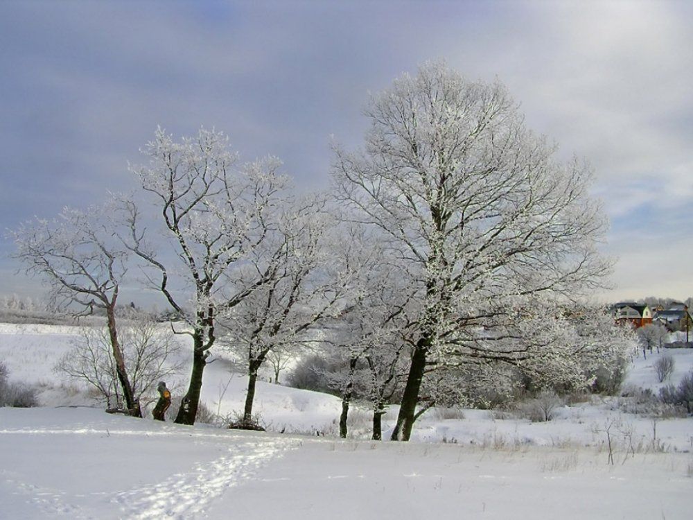 1034661.jpg 1034661.jpg