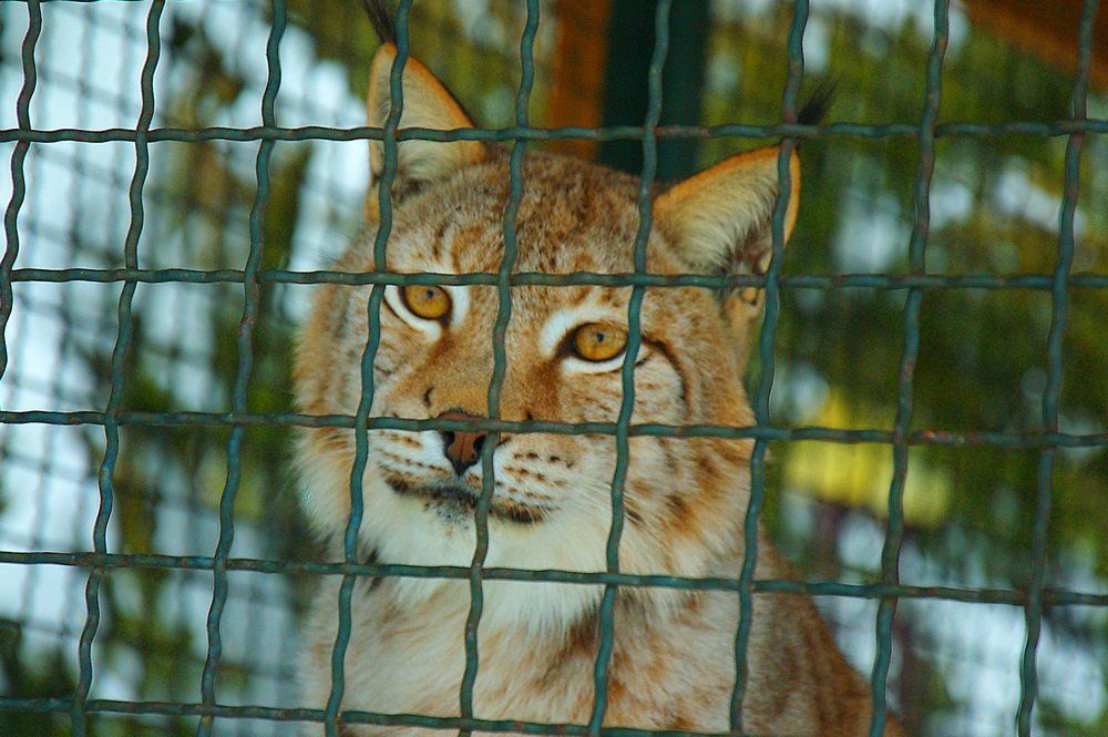 DSC_0664.jpg DSC_0664.jpg