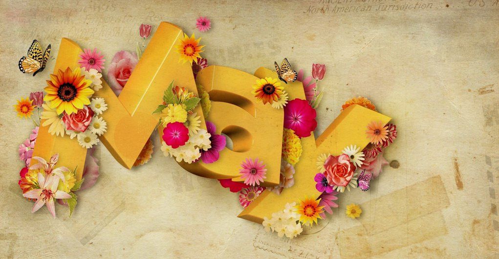 topoboi.com-32822-00.jpg topoboi.com-32822-00.jpg