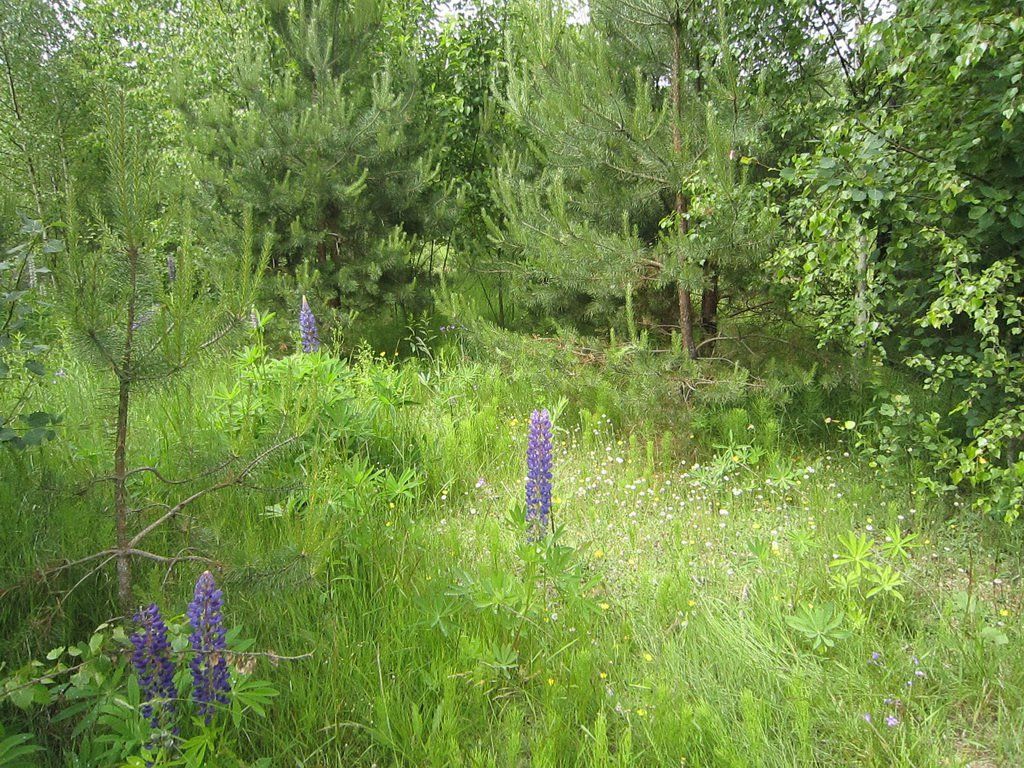 IMG_2913-21.jpg IMG_2913-21.jpg