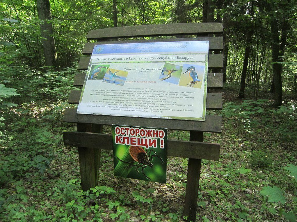 IMG_3147-21.jpg IMG_3147-21.jpg