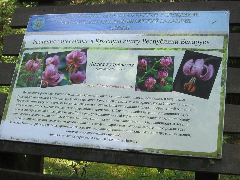 IMG_3146-21.jpg IMG_3146-21.jpg