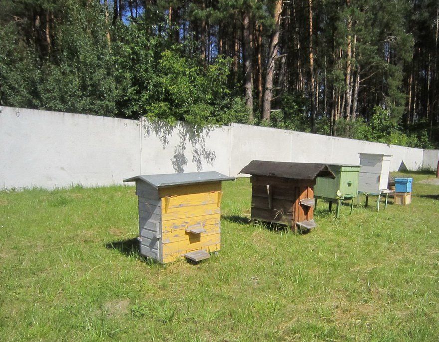 IMG_3085-21.jpg IMG_3085-21.jpg