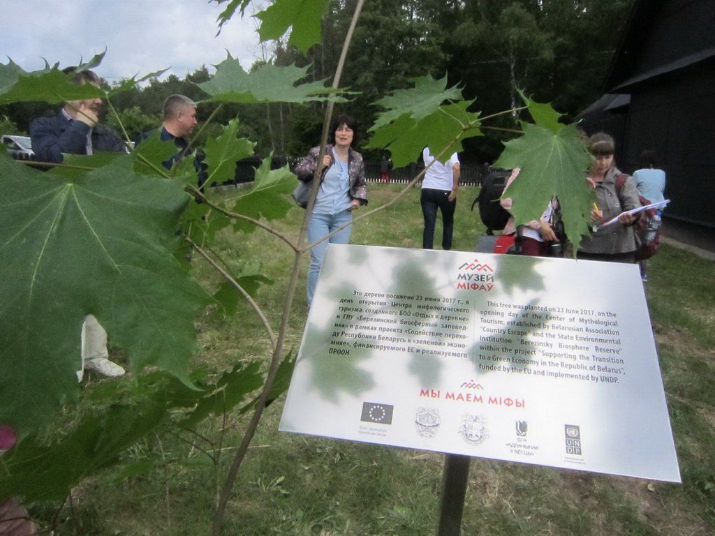 IMG_2903-21.jpg IMG_2903-21.jpg