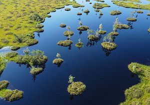 Болото Ельня и водопад на реке Вята