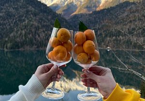 Тур в Абхазию: отдых + оздоровление!