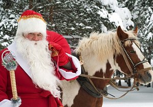 Новогодняя сказка в Березинском заповеднике